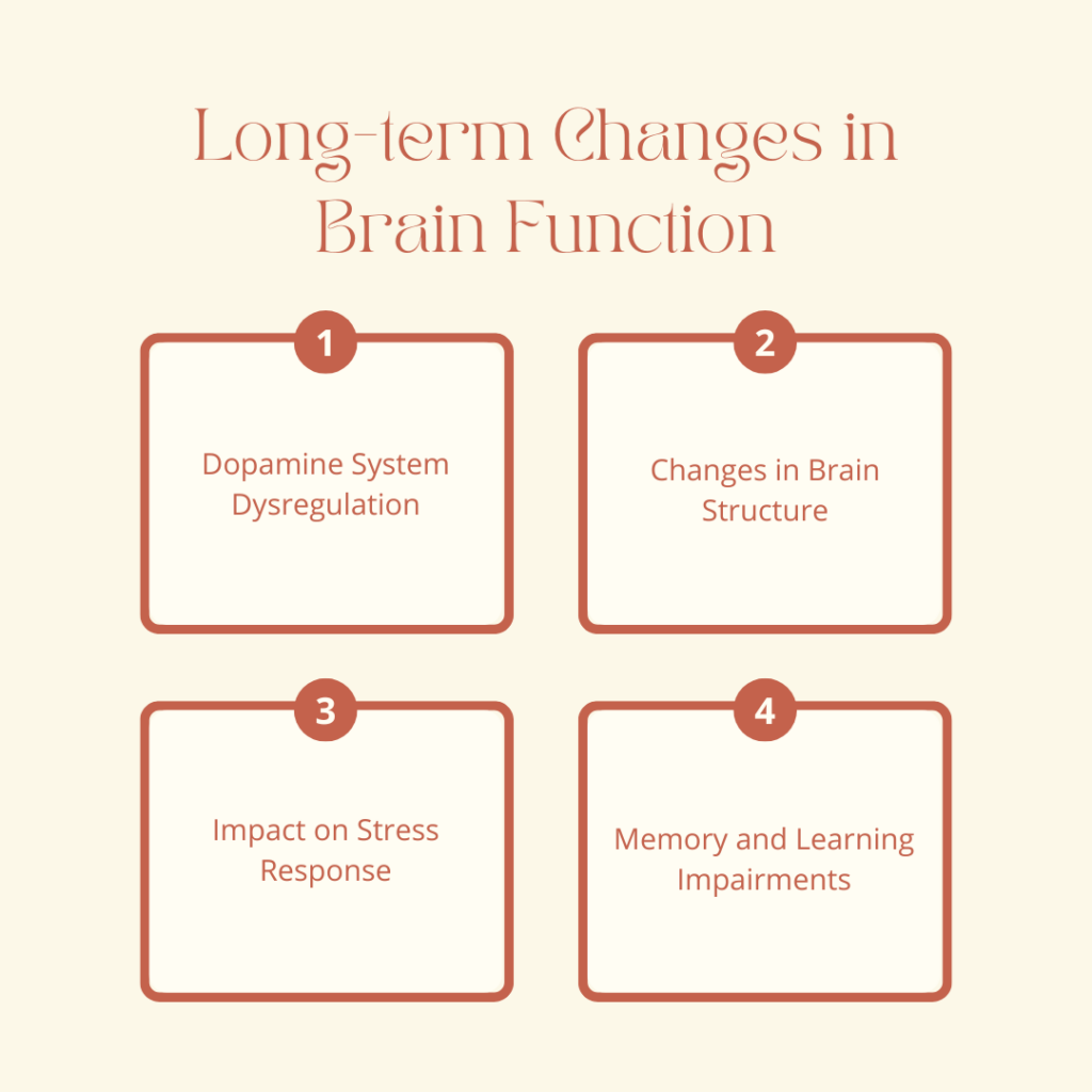 Long-term Changes in Brain Function